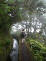 Madeira0847.JPG